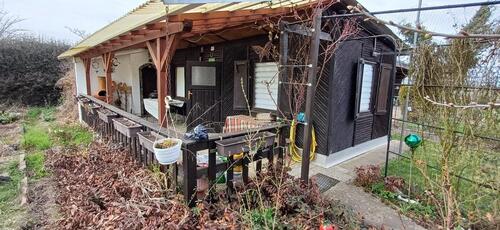 Foto - Grundst&uuml;ck in Torgau zur Miete