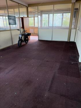 Foto - andere in Eggenstein-Leopoldshafen zur Miete