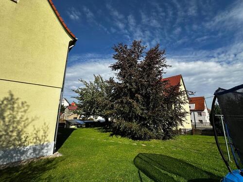 Foto - 4 Zimmer Etagenwohnung in Wilkau-Haßlau