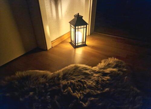 Foto - 