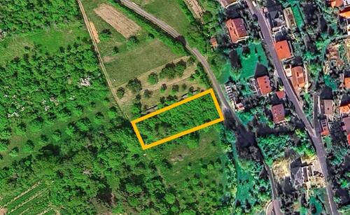 Foto - AUKTION: ehemalige Streuobstwiese