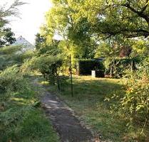 neu renovierte 4 Zimmer Wohnung - Gießen Allendorf