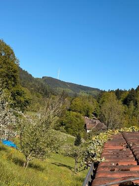Foto - Einfamilienhaus in Ettenheim