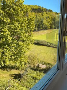Foto - Einfamilienhaus in Ettenheim zum Kaufen
