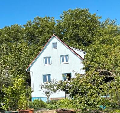 Foto - 6 Zimmer Einfamilienhaus zum Kaufen in Kehl