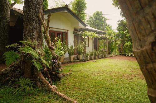 Foto - Urlaub in Sri Lanka ,ganzes Haus
