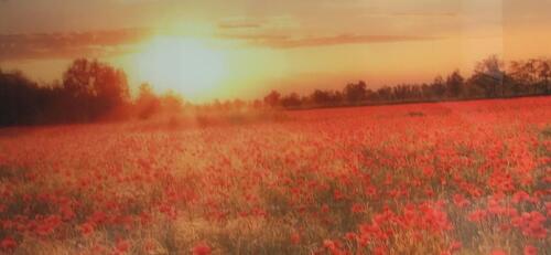 Foto - Verden City: Möblierte lichtdurchflutete Wohnung 1200,- kalt