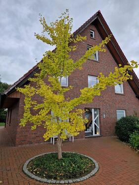 Foto - Hochwertig Eigentumswohnung in ruhiger Wohnlage