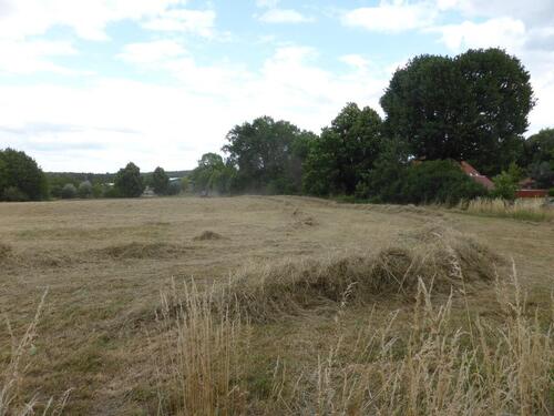 Foto - Ackerland oder als Weideland zu verpachten