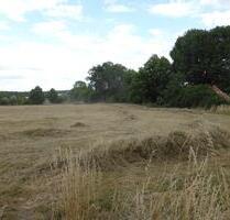Ackerland oder als Weideland zu verpachten - Boizenburg/Elbe