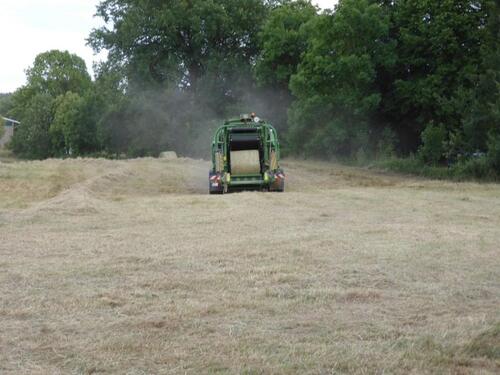 Foto - Grundst&uuml;ck zur Miete in Boizenburg/Elbe
