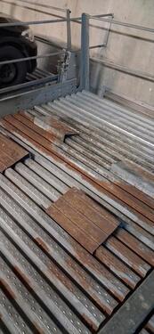 Foto - andere in Dresden