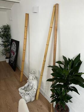 Foto - 1 Zimmer Erdgeschoßwohnung zur Miete in Bayreuth