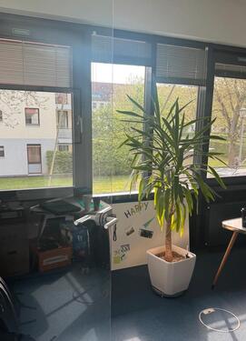 Foto - Büro zu vermieten - 264,00&nbsp;EUR Kaltmiete, ca.&nbsp; 12,50&nbsp;m&sup2;