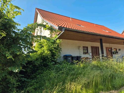 Foto - Wohnung zu vermieten - 800,00 EUR Kaltmiete,
