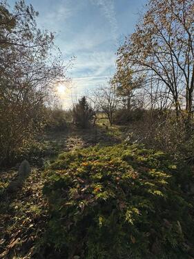 Foto - Einfamilienhaus in Neustadt (Dosse) zum Kaufen