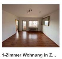 AzubiStudenten 1 Zimmer Wohnung Zabo - Nürnberg Zerzabelshof