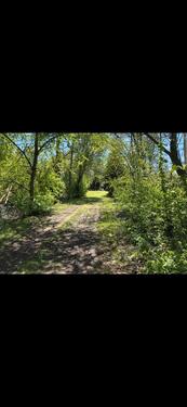 Foto - 1250m2 Grundstück z.B. für Pferde oder als Erholungsfläche