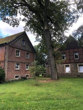 Foto - Ferienhaus - 100,00&nbsp;EUR Kaltmiete,