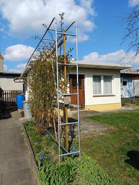 Foto - Gartengrundstück mit Massivlaube