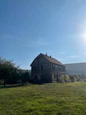 Foto - Koppel Weide mit sanierungsbedürftigem Landhaus