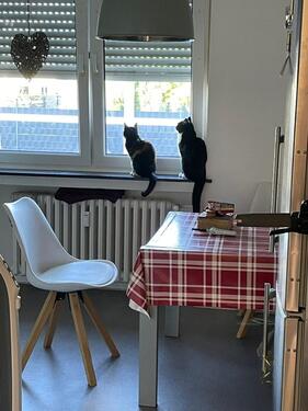 Foto - Etagenwohnung in Aldenhoven