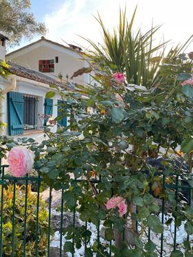 Foto - andere in Königswinter