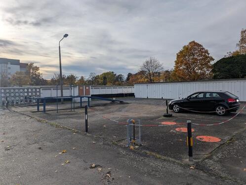 Foto - andere in Dresden