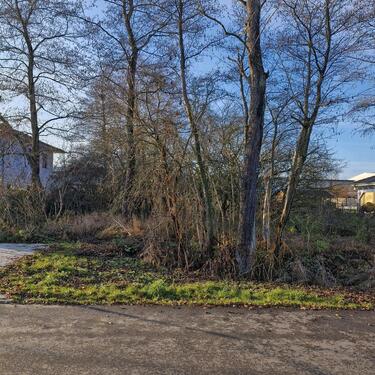 Foto - Einfamilienhaus in Bernau bei Berlin