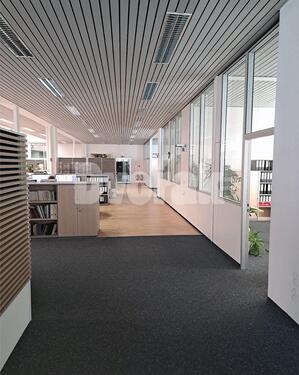 Foto - andere in Fellbach