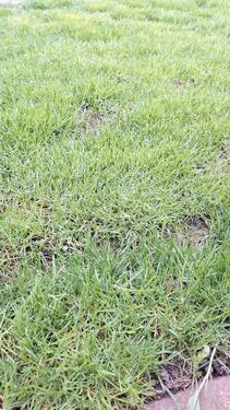 Foto - Grundstück oder Haus in Innenstadt Meldorf