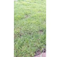 Grundstück oder Haus in Innenstadt Meldorf