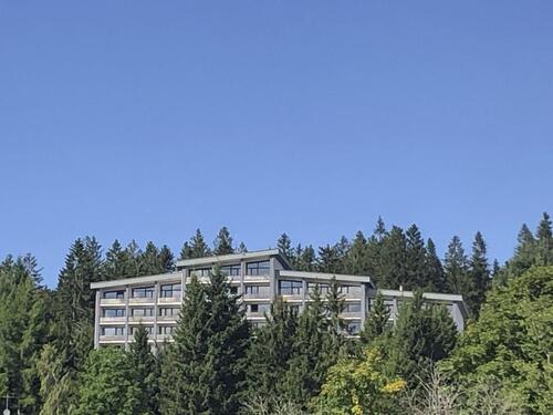 Foto - 2 Zimmer Etagenwohnung zum Kaufen in Neureichenau