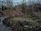 Foto - Schrebergarten - 2.200,00&nbsp;EUR Kaltmiete, ca.&nbsp; 0,00&nbsp;m&sup2;