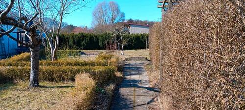 Foto - Grundst&uuml;ck zur Miete in Schwerin