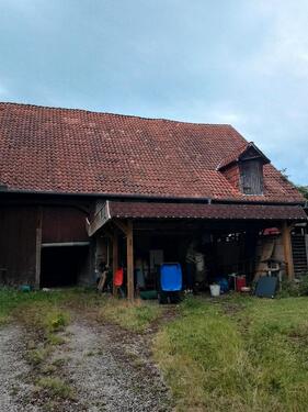 Foto - 
