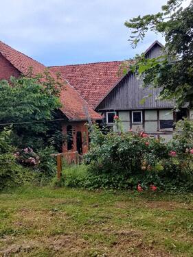 Foto - 8 Zimmer Einfamilienhaus zum Kaufen in Emmerthal