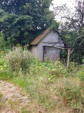 Foto - Einfamilienhaus in Emmerthal zum Kaufen