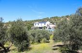Foto - Finca Cortijo Haus in Andalusien