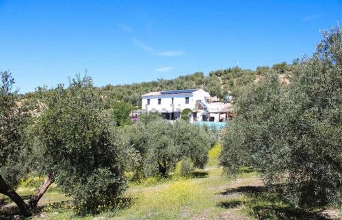 Foto - Finca Cortijo Haus in Andalusien