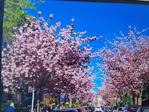 Foto - Außergewöhnliche Maisonette-Wohnung in D-Golzheim, Zietenstraße