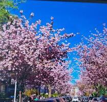 Außergewöhnliche Maisonette-Wohnung in D-Golzheim, Zietenstraße - Düsseldorf Derendorf
