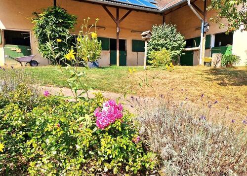 Foto - Pferdehof zu verkaufen - 849.000,00&nbsp;EUR Kaufpreis, ca.&nbsp; 350,00&nbsp;m&sup2;