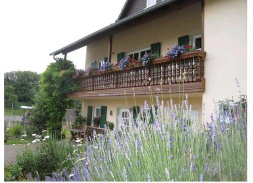 Foto - 11 Zimmer Einfamilienhaus zum Kaufen in Birkenfeld