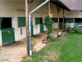 Foto - Einfamilienhaus in Birkenfeld zum Kaufen