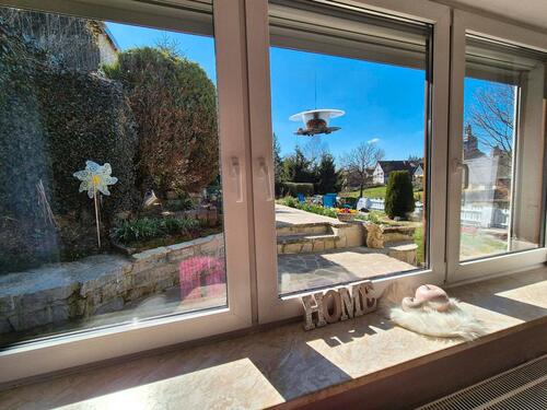 Foto - Einfamilienhaus in Sangerhausen zum Kaufen