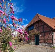 Haushälfte Fachwerkhaus - 219.000,00 EUR Kaufpreis, in Teterow (PLZ: 17166)