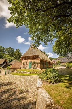 Foto - andere in Bispingen