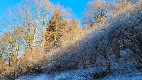 Foto - Grundst&uuml;ck in Amorbach