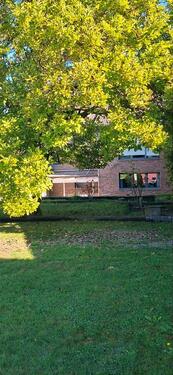 Foto - 6 Zimmer Einfamilienhaus zum Kaufen in Euskirchen